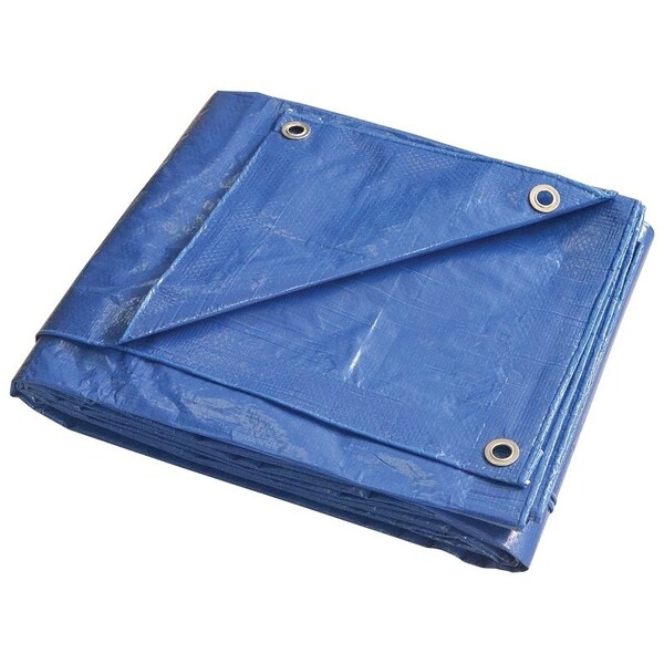 Prosource Tarpaulin, 8 ft L, 6 ft W, 5 mil Thick, Polyethylene, Blue - T0608BB90