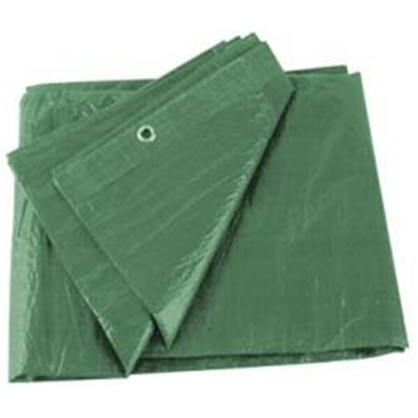 Hogan Supplies Heavy Duty Tarp, Green - HO1602390