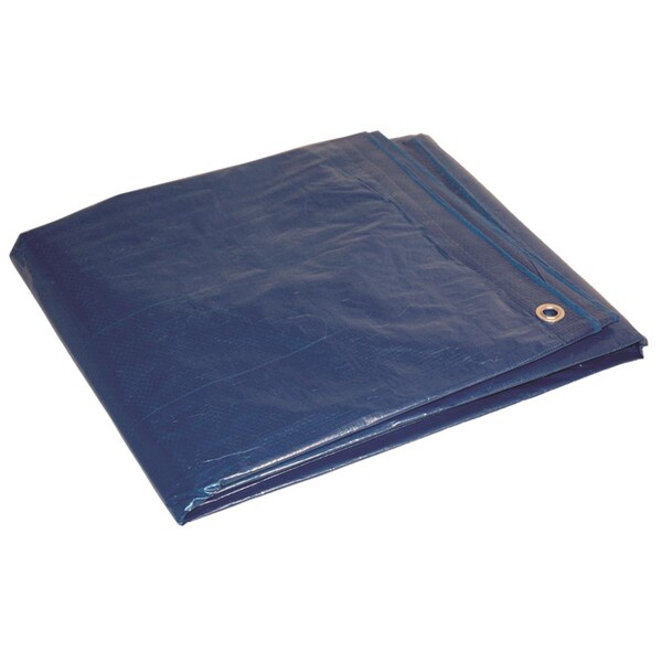 Tepee Supplies 8 x 10 ft. Medium Duty Polyethylene Tarp, Blue - TE2515101
