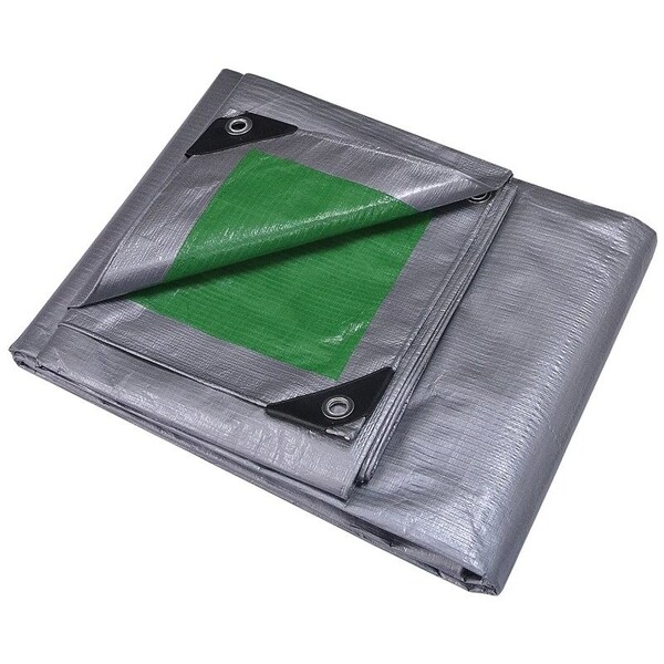 Prosource Heavy-Duty Tarp, 24 ft L, 12 ft W, 8 mil Thick, Polyethylene, Green/Silver - T1224GS140