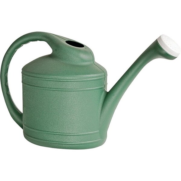Southern Patio Watering Can, 2 gal Can, Resin, Fern - WC8108FE