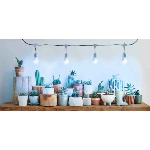 Miracle Led 4-Socket Designer Greenhouse in a Box Grow Lght Kit, Blue Spec, 14W Rplc 150W Grow Bulbs Timer, 2PK - 801793