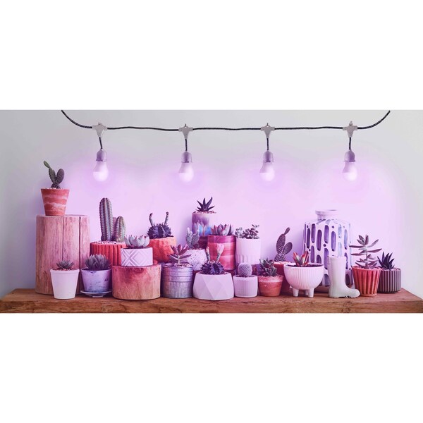 Miracle Led 4-Socket Designer Greenhouse in a Box Grow Lght Kit, Red/Blue Spec, 14W Rplc 150W Grow Bulbs, 4PK - 801800