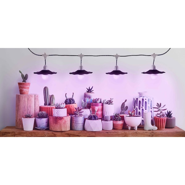 Miracle Led 4-Socket Designer Greenhouse in a Box Grow Lght Kit, Red/Blue Spec, 14W Rplc 150W Grow Bulbs, 2PK - 801775