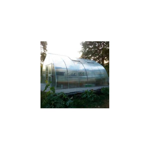 Exaco Trading Co. Greenhouse, 19' 10"L x 14' 2"W x 10'H - RIGA XL