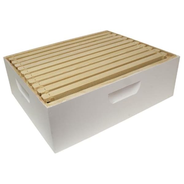 Harvest Lane Honey Harvest Lane Honey WWBCM-102 White Medium Honey Box - 202468