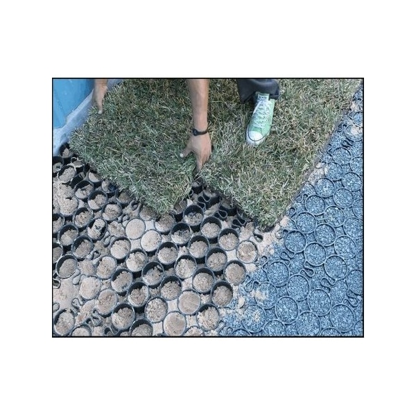 Truegrid Pro-Plus Permeable Paver, 24'' W x 24'' L, 2'' H, 4 sqft - TG-0020