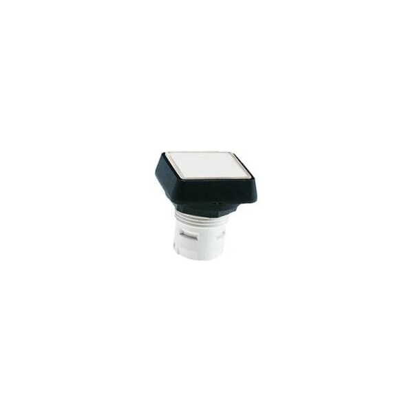Rafi Config Sw Body Pushbut Non-Illum - 1.30070.251/0300