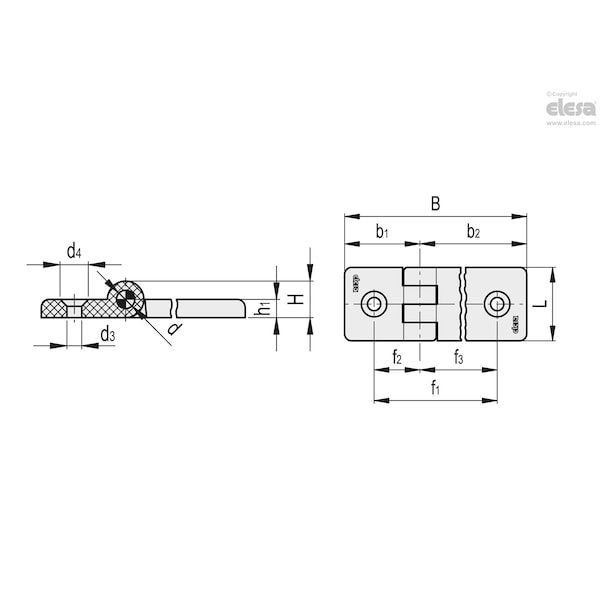 Elesa Hinges for profiles with friction locking, CFG.30/60-ERS-SH-6-C33 - CFG-ERS