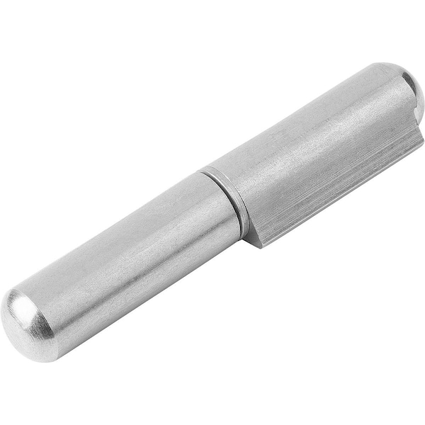 Kipp Hinge Weldable Form:A 20X120, D=16, Stainless Steel Bright, Comp:Stainless Steel - K0985.016120033