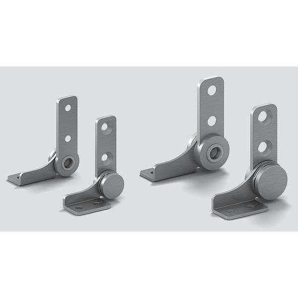 Lamp Torque Hinge, 304 Stainless Steel, 18 in Leaf W x 1 11/16 in Leaf H - HG-TB45R