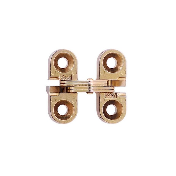 Richelieu 1inch 25 mm x 38inch 10 mm Full Mortise Concealed Hinge, Satin Brass - 420100160