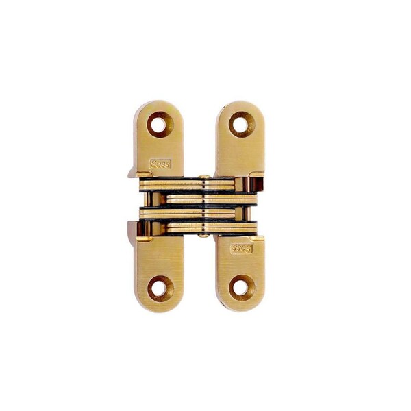 Richelieu 2 34inch 70 mm x 58inch 16 mm Full Mortise Concealed Hinge, Satin Brass - 429208160