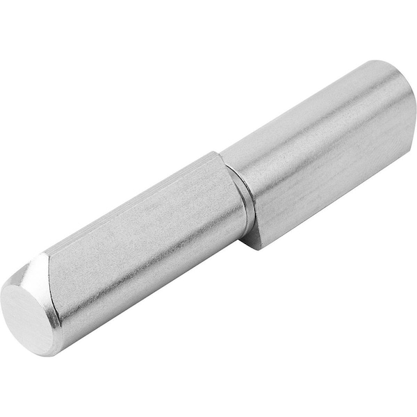 Kipp Hinge Weldable 20X80, D=16, Stainless Steel Satin Finished Polished, Comp:Stainless Steel - K1337.016080