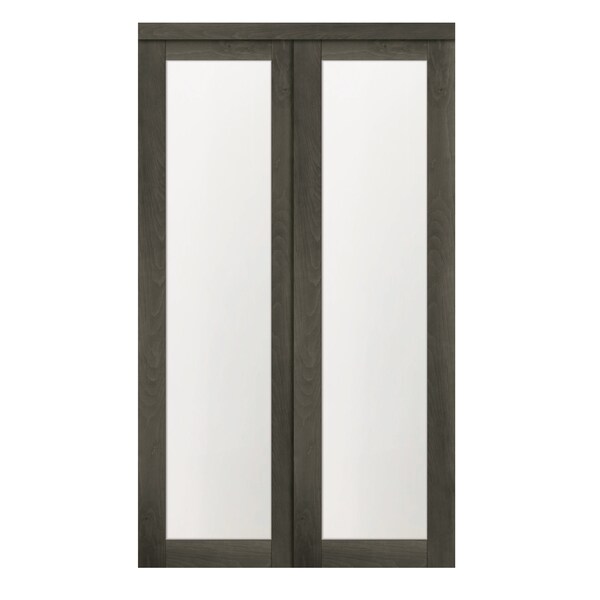 Renin 48 in. x 80 1/2 in. Euro 1-Lite Bypass Door Iron Age - EU2450IAFGE048080