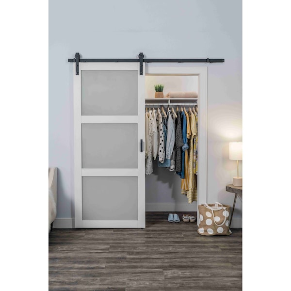 Renin Renin 36 in. x 84 in. Hall 3-Lite Complete Barn Door Kit - BD061W01BW3TGE36084