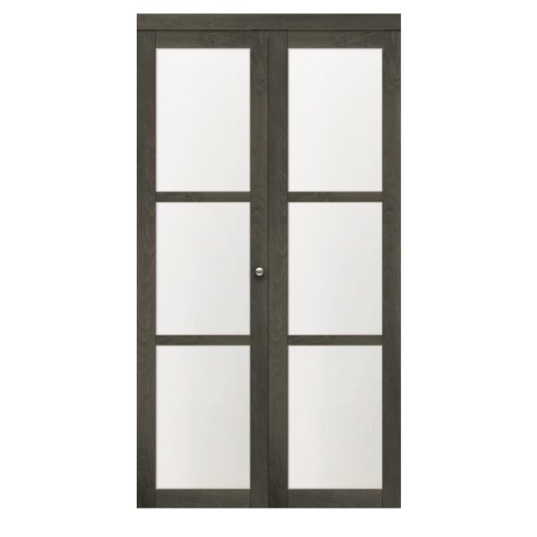 Renin 30 in. x 80 1/2 in. Euro 3-Lite Bi-Fold Door Iron Age - EU3150IAFGE030080