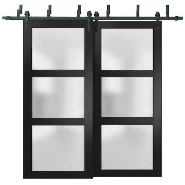 Sartodoors Barn Bypass Interior Door, 84" x 96", Black - LUCIA2552BBB-BLK-8496