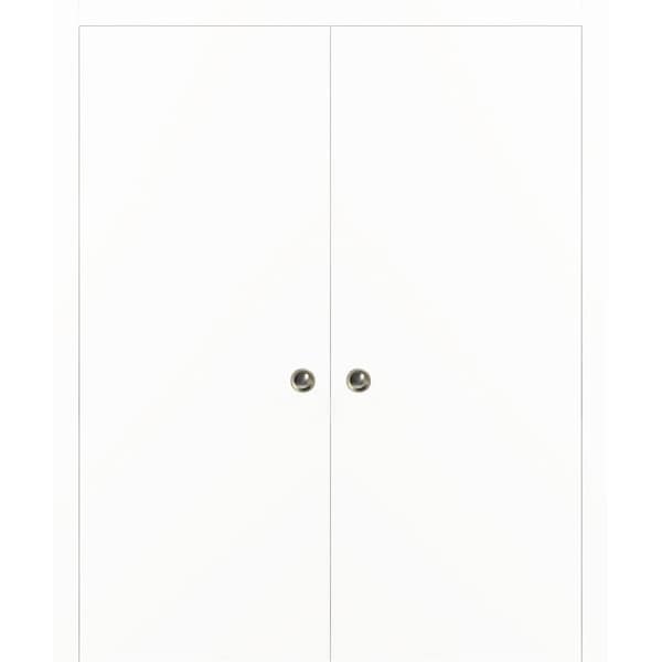 Sartodoors Modern Double Pocket 48x96 Planum 0010 White Silk Pocket Frame Trims Pulls Rail Closet,  - PLANUM10DP-WSNP-4896