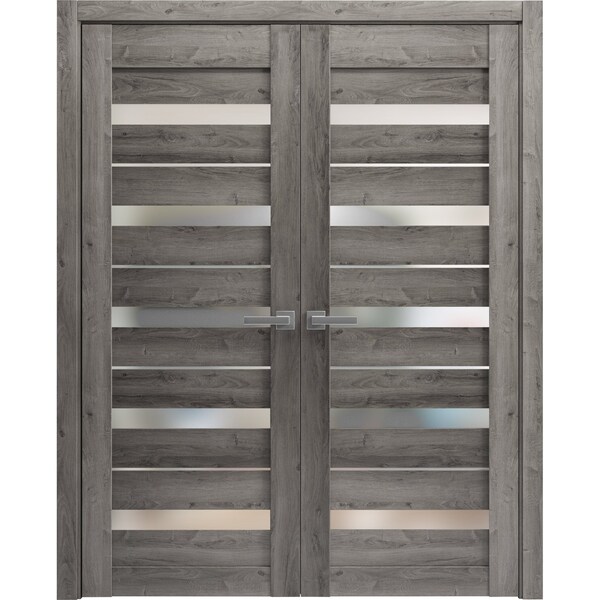 Sartodoors Sturdy Double Barn Door 64 x 80in, Lucia 2166 Matte Black Clear Glass, 13FT Rail Hangers Heavy Set - LUCIA2166DB-BLK-64