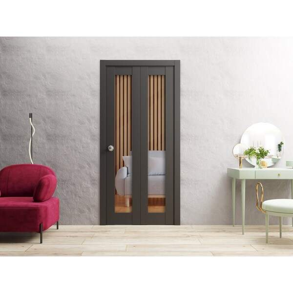Sartodoors Sliding Closet Bi-fold Doors 64 x 84in, Matte Black Clear Glass, Sturdy Tracks Moldings Trims - LUCIA2166BF-BLK-6484