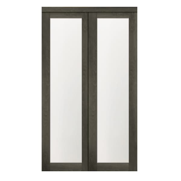 Renin 72 in. x 80 1/2 in. Euro 1-Lite Bypass Door Iron Age - EU2450IAFGE072080
