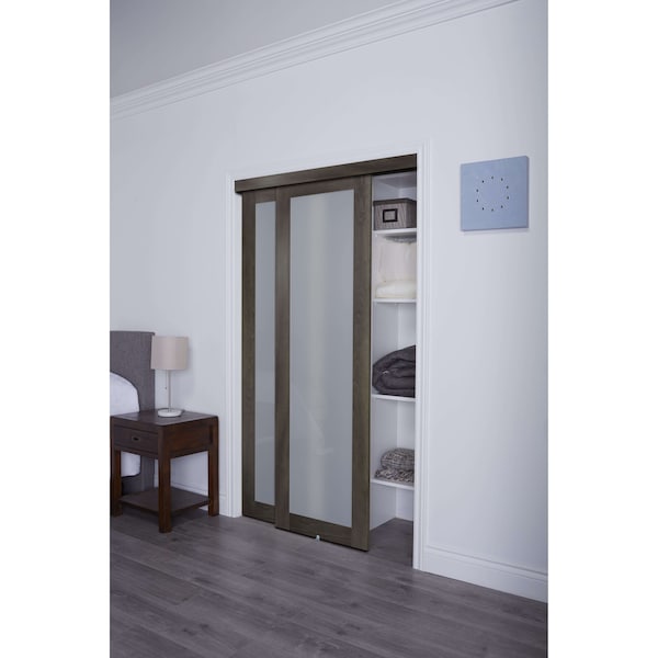 Renin 72 in. x 80 1/2 in. Euro 1-Lite Bypass Door Iron Age - EU2450IAFGE072080