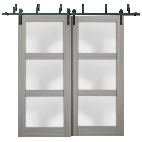 Sartodoors Barn Bypass Interior Door, 60" x 96", Gray - LUCIA2552BBB-SSS-6096