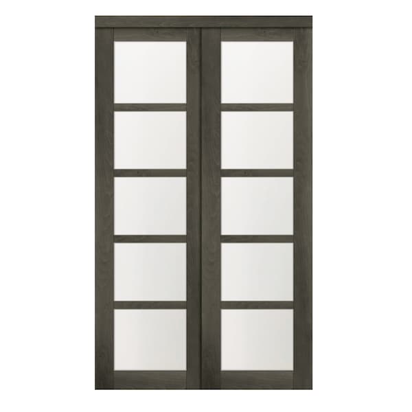 Renin 60 in. x 80 1/2 in. Euro 5-Lite Bypass Door Iron Age - EU2470IAFGE060080