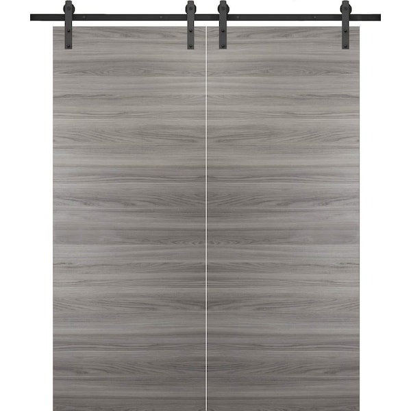 Sartodoors Double Barn Interior Door, 36" x 84", Gray - PLANUM10DB-GANP-3684
