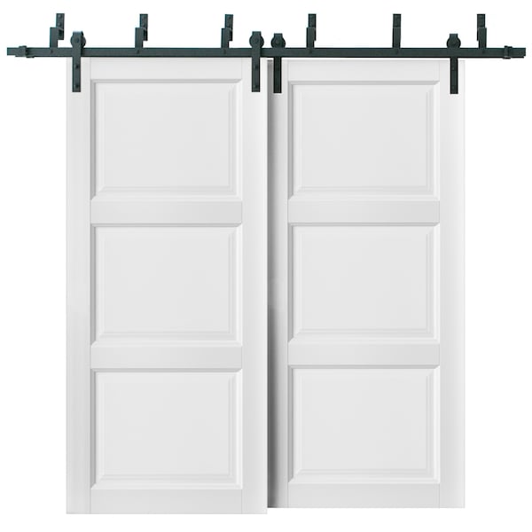 Sartodoors Barn Bypass Interior Door, 36" x 84", White - LUCIA2661BBB-BEM-3684