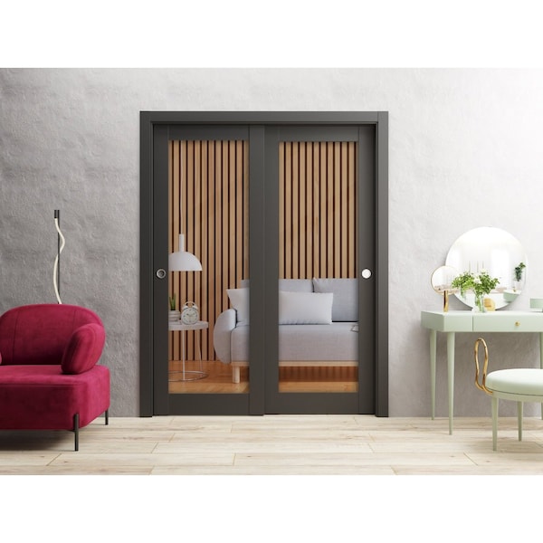 Sartodoors Sliding Closet Bypass Doors 84 x 96in, Matte Black Clear Glass, Sturdy Rails Moldings Trims - LUCIA2166DBD-BLK-8496