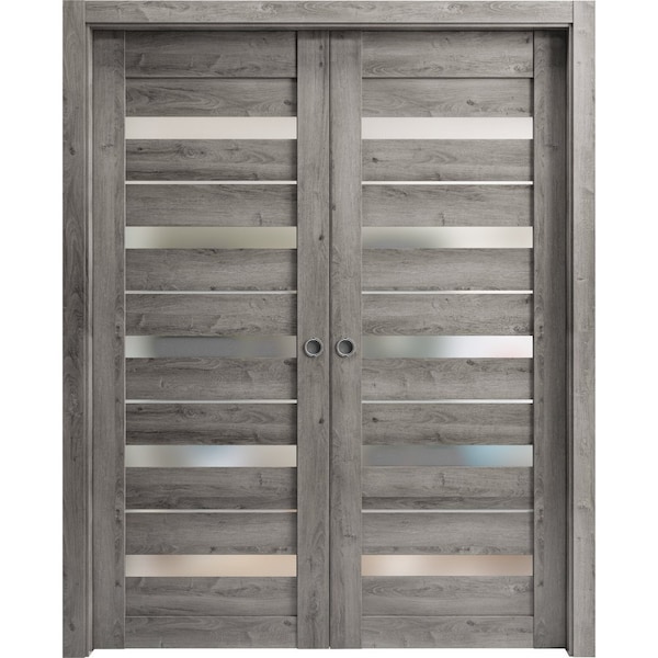 Sartodoors Sliding Closet Bypass Doors 84 x 96in, Matte Black Clear Glass, Sturdy Rails Moldings Trims - LUCIA2166DBD-BLK-8496
