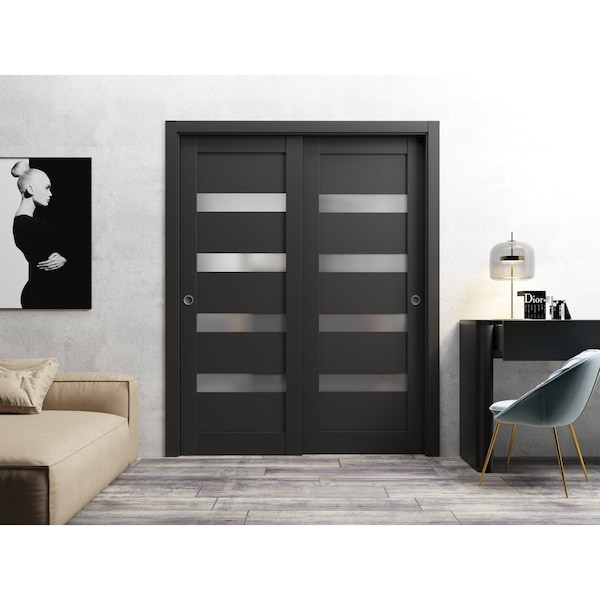 Sartodoors Sliding Closet Bypass Doors 48 x 80in, Quadro 4113 Matte Black Frosted Glass, Sturdy Rails - QUADRO4113DBD-BLK-48