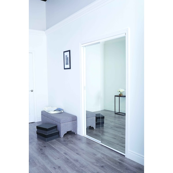 Renin 60 in. x 80 1/2 in. Bypass Mirrored Closet Door - BY320BBWCLE060080