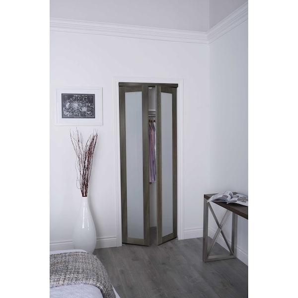 Renin Renin 36 in. x 80 1/2 in. Euro 3-Lite Design Pivot Door - PV5402IAFGC036080