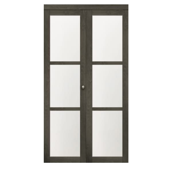 Renin Renin 36 in. x 80 1/2 in. Euro 3-Lite Design Pivot Door - PV5402IAFGC036080