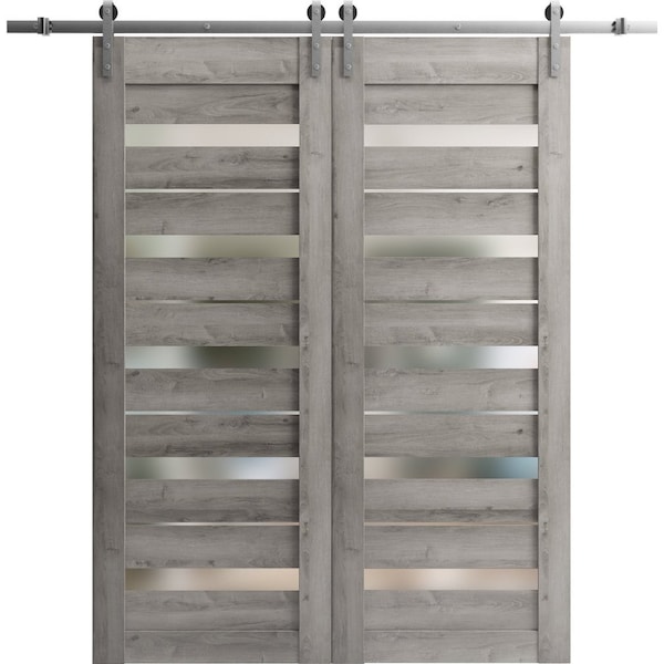 Sartodoors Sliding Closet Barn Bypass Doors 48 x 80in, Matte Black Clear Glass, Sturdy 6.6ft Rails - LUCIA2166BBB-BLK-48