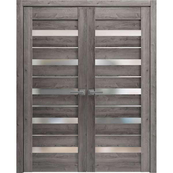 Sartodoors Sturdy Dbl Barn Door 36 x 80in, Matte Black Clear Glass, Stainless Steel 13FT Rail Hangers Heavy Set - LUCIA2166DB-S-BLK-36
