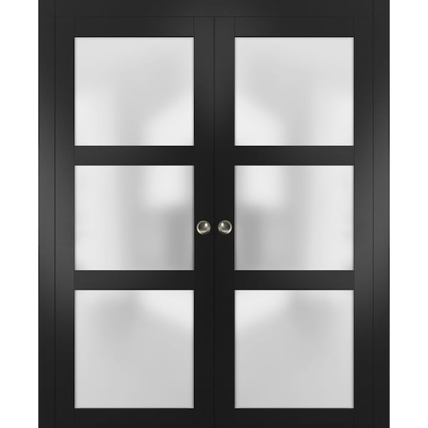 Sartodoors Double Pocket Interior Door, 36" x 96", Black - LUCIA2552DP-BLK-3696