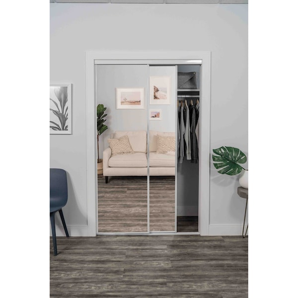 Renin 60 in. x 80 1/2 in. Bypass Mirrored Closet Door - BY0120BWCLE060080