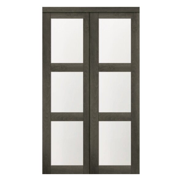 Renin Renin 60 in. x 80 1/2 in. Euro 3-Lite Bypass Door - EU2460IAFGE060080