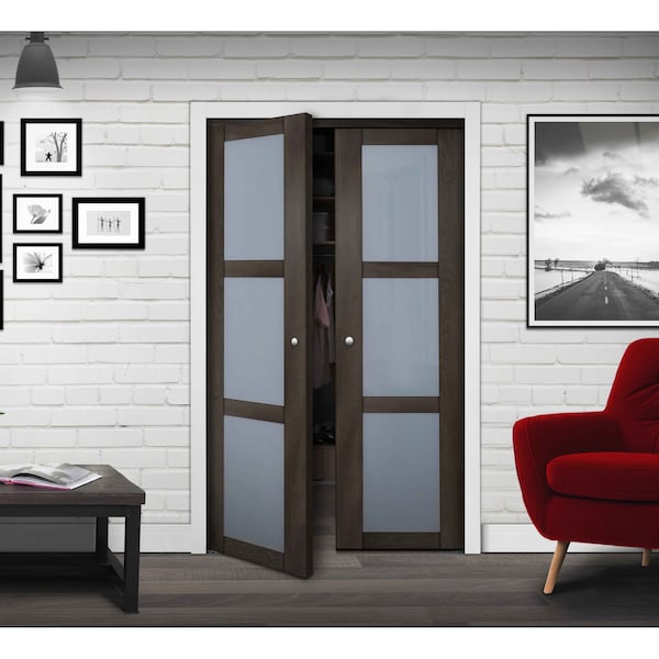 Renin Renin 30 in. x 80 1/2 in. Euro 1-Lite Design Pivot Door - PV5401IAFGC030080