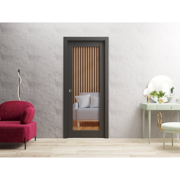 Sartodoors Slab Barn Door Panel 24 x 96in, Matte Black Clear Glass, Pocket Closet Sliding - LUCIA2166S-BLK-2496
