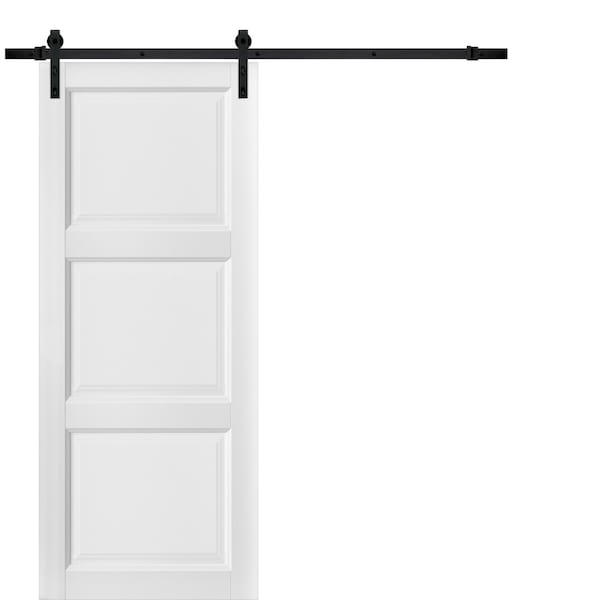 Sartodoors Barn Interior Door, 28" x 96", White - LUCIA2661BD-B-BEM-2896
