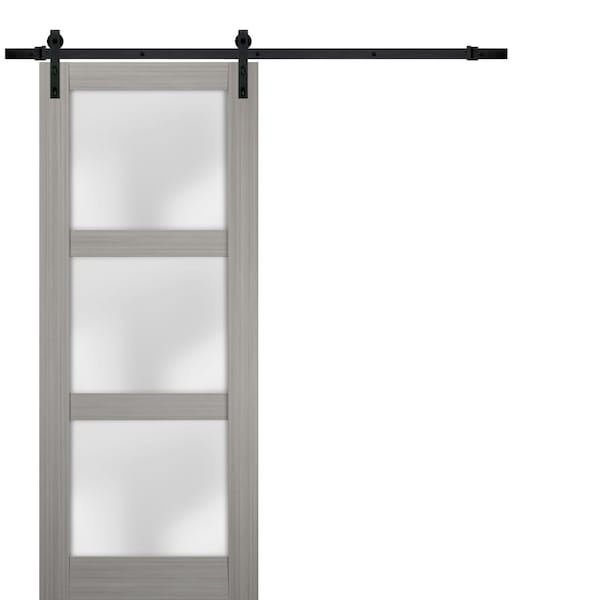 Sartodoors Barn Interior Door, 24" x 80", Gray - LUCIA2552BD-B-SSS-24