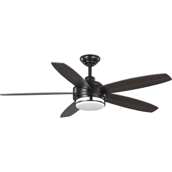 Progress Lighting Albin Collection 54" Indoor/Outdoor Five-Blade Black Ceiling Fan - P250036-031-30