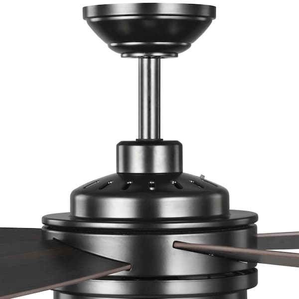 Progress Lighting Albin Collection 54" Indoor/Outdoor Five-Blade Black Ceiling Fan - P250036-031-30