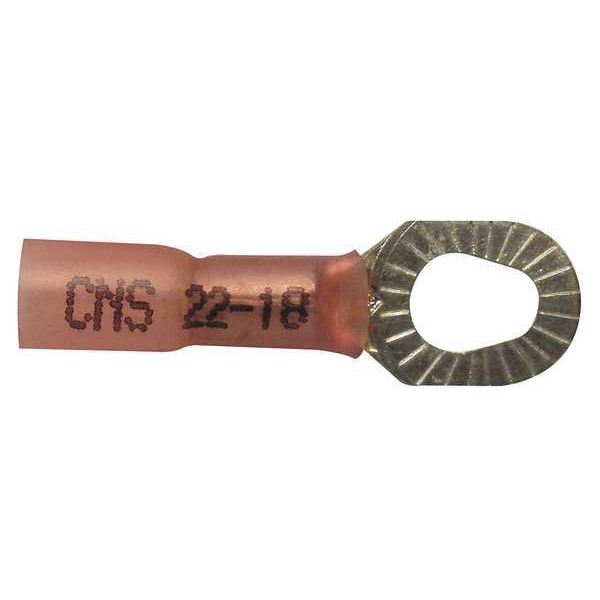 Terminales de anillo termocontraíbles Velvac de 22-18 AWG para pernos de tamaño #6, #8, #10 - Paquete de 10 (3111M)