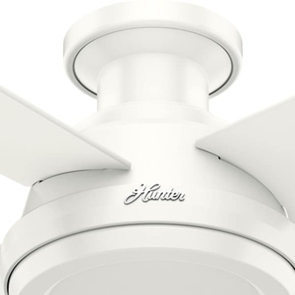Hunter Decorative Ceiling Fan, Low Pro, 52 in Blade Dia, 4 Blades, 3 Speeds, 120, Fresh WhiteÂ  - 59248